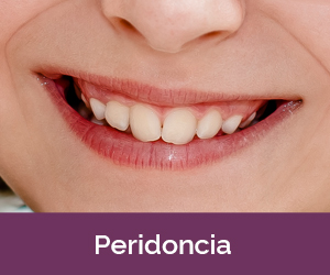 Peridoncia